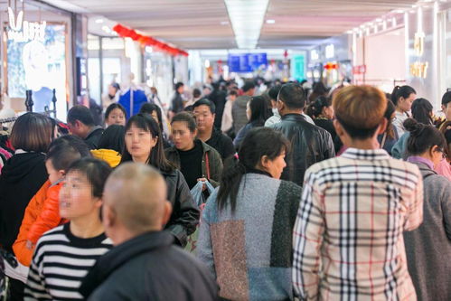 新螺蛳湾未来可期 商品批发贸易的发展机遇与前景